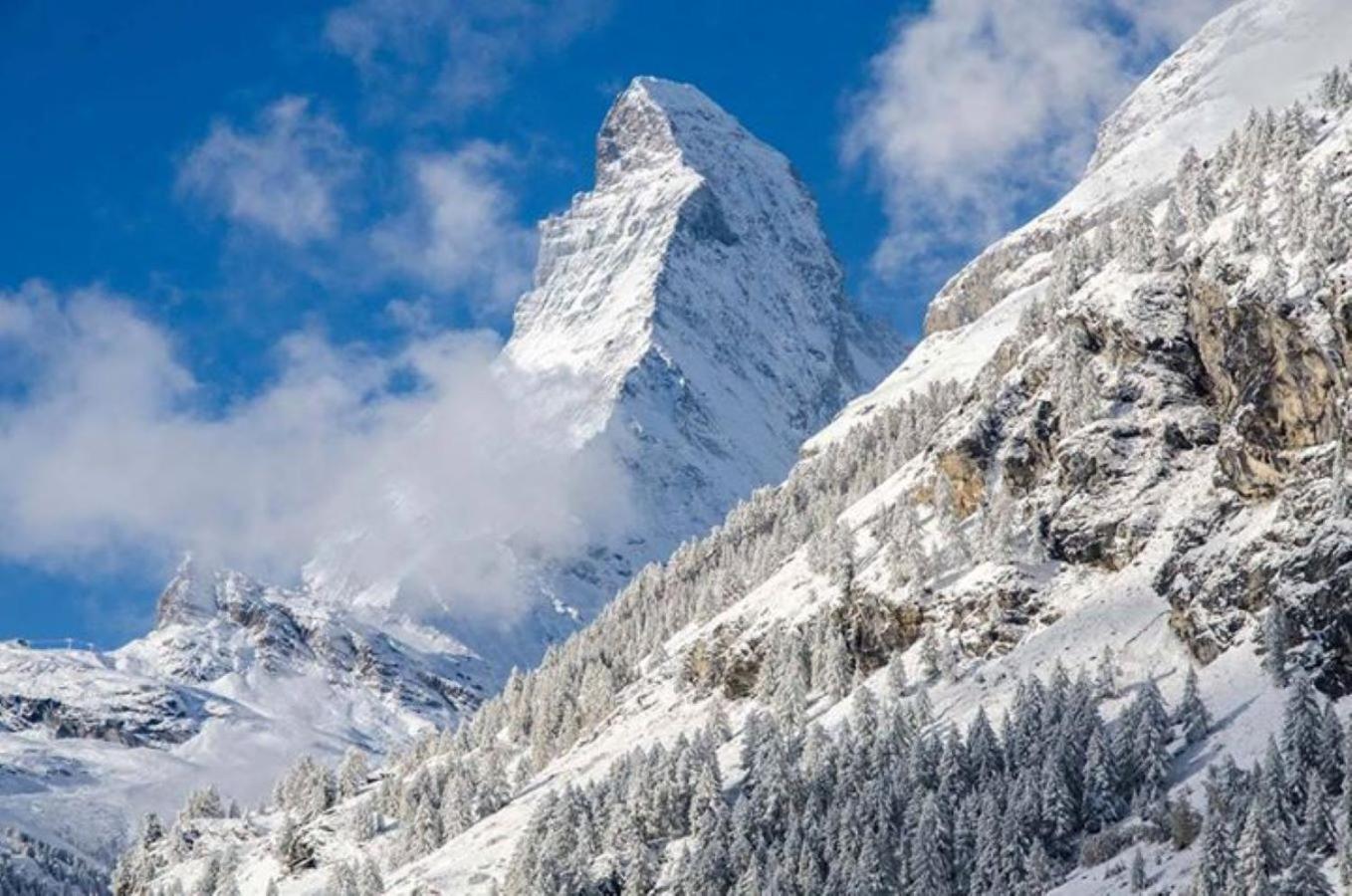 Monte Rosa Taesch, Apartments Mit Wellness Bereich المظهر الخارجي الصورة