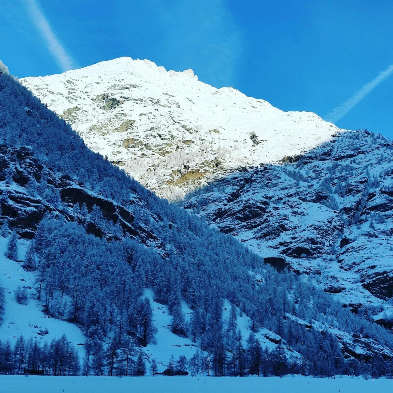 Monte Rosa Taesch, Apartments Mit Wellness Bereich المظهر الخارجي الصورة
